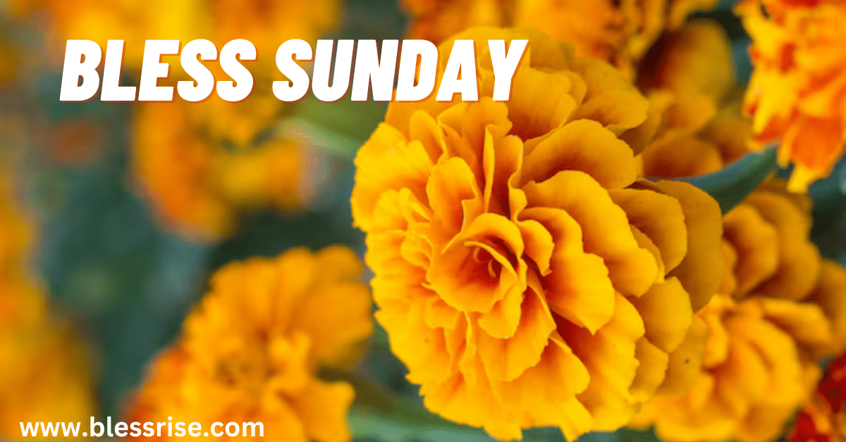 Bless Sunday​