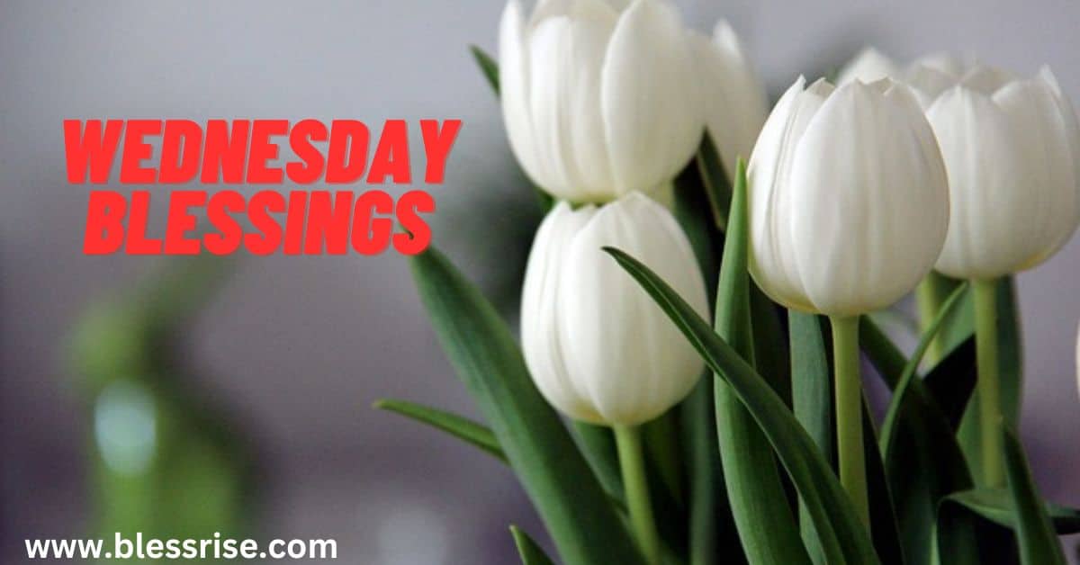 Wednesday Blessings