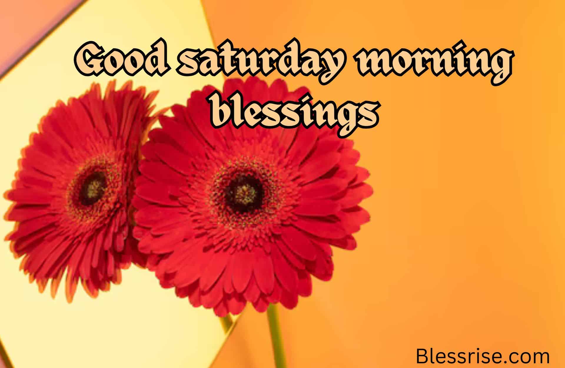 Good saturday morning blessings