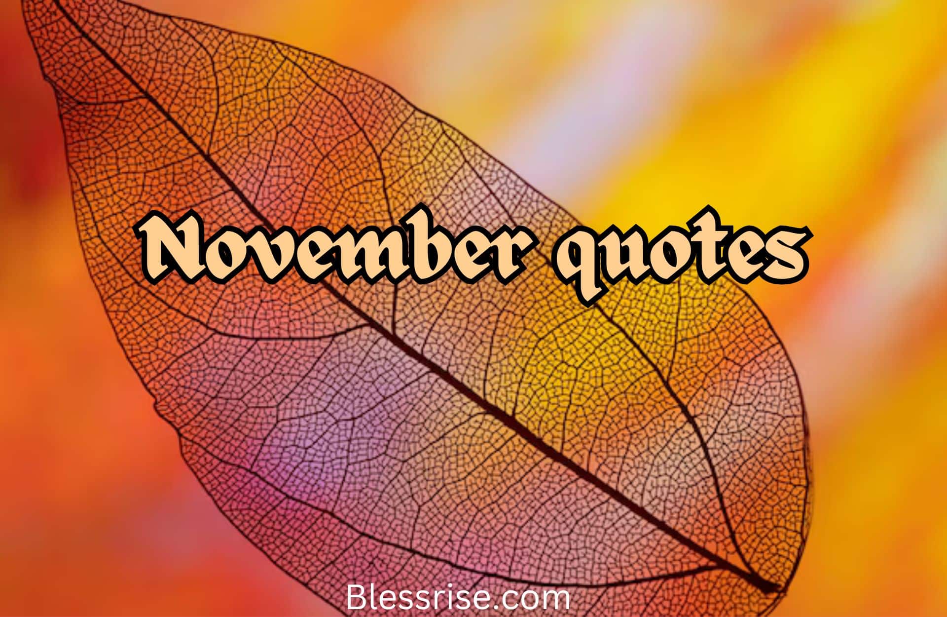 November quotes