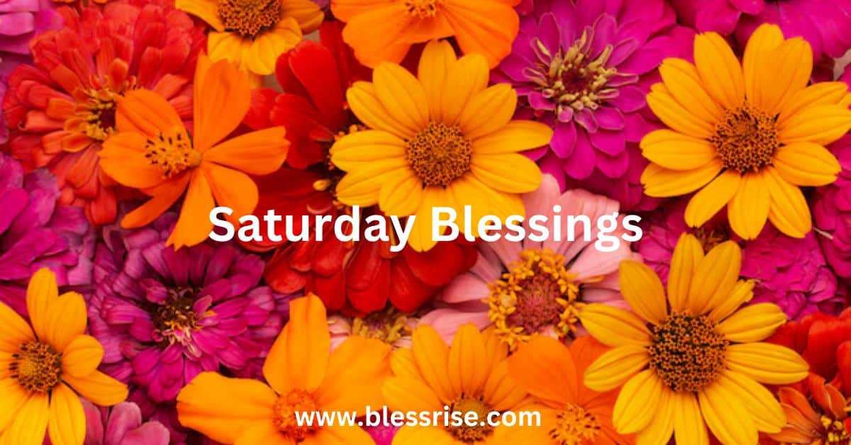 Saturday Blessings