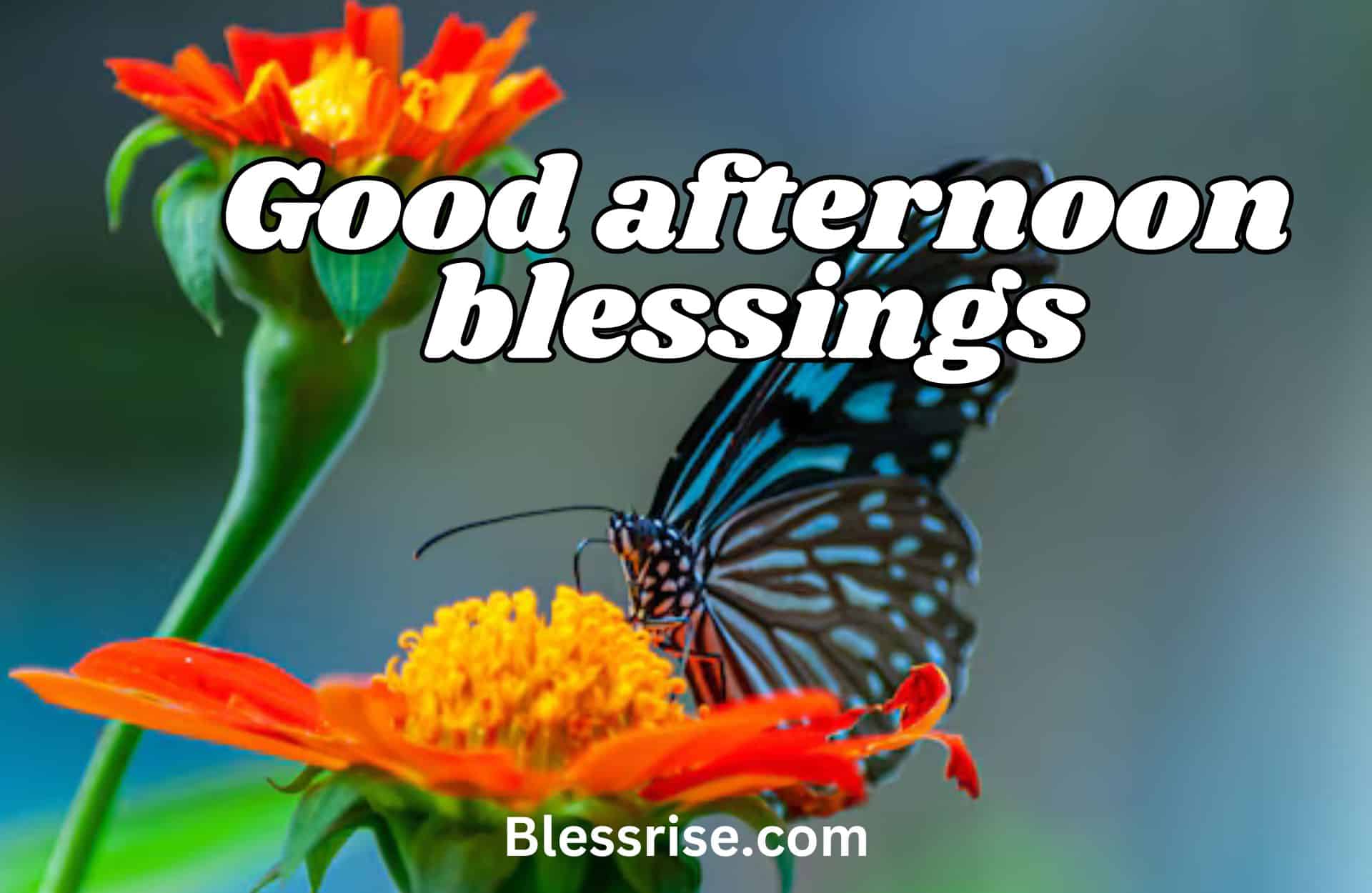 good afternoon blessings