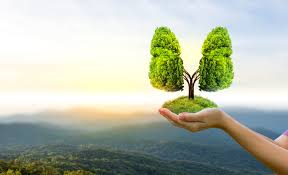 Living with Purpose: Building a World That Breathes Cleaner