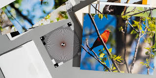 Smart Choices for Reliable Print Services for Business