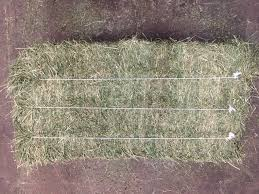 What is 3-Way Hay for Horses?