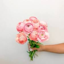 Why San Diego Flower Delivery Became the City’s Favorite Gesture of Kindness